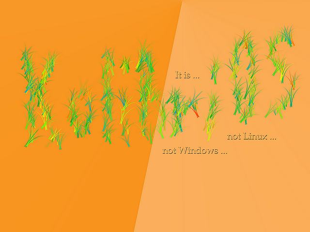 It_is_not_Linux_Windows_640x480.png