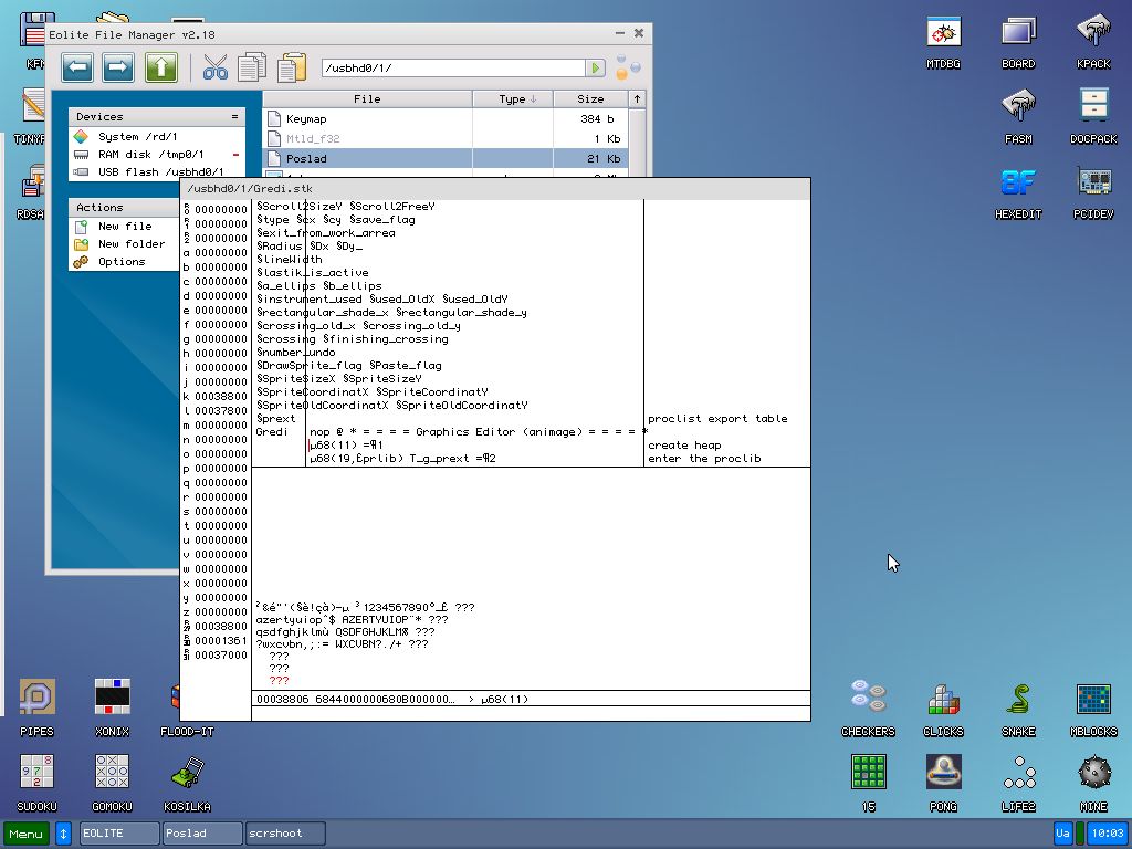 An application displaying characters in the codepage 1252