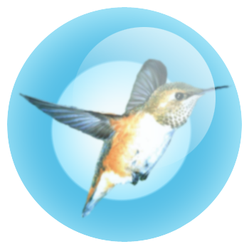 kolibri.png