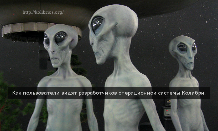 How_users_see_the_developers_of_the_Kolibri_operating_system_rus.png